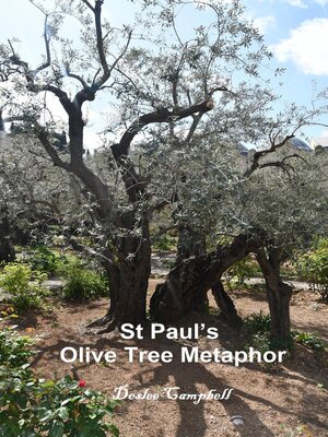 cover image of St Paul's Olive Tree Metaphor